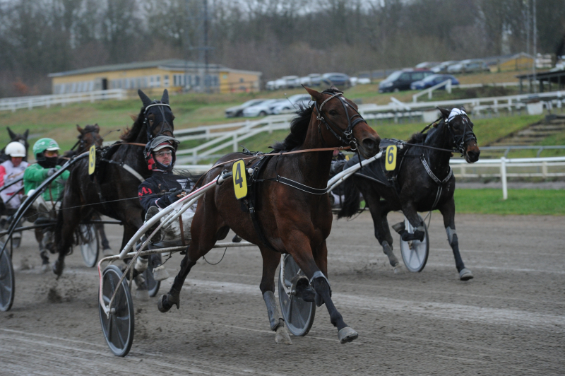 Jydsk Væddeløbsbane - Sådan er det gået DSC_9363