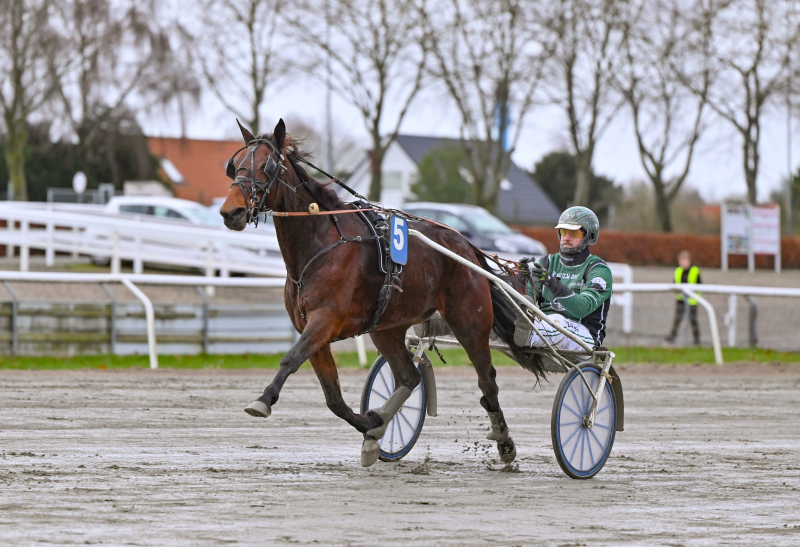 Kort nyt fra nær og fjern EIK_HIND_DSC_5192