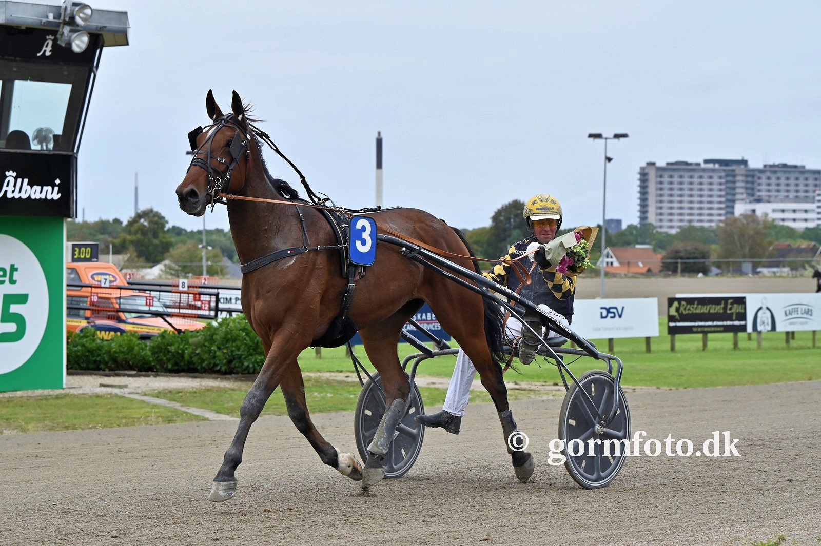 Bud søges på denne 4-årige 14-traver 461522666_496944593174879_4238711931280648430_n