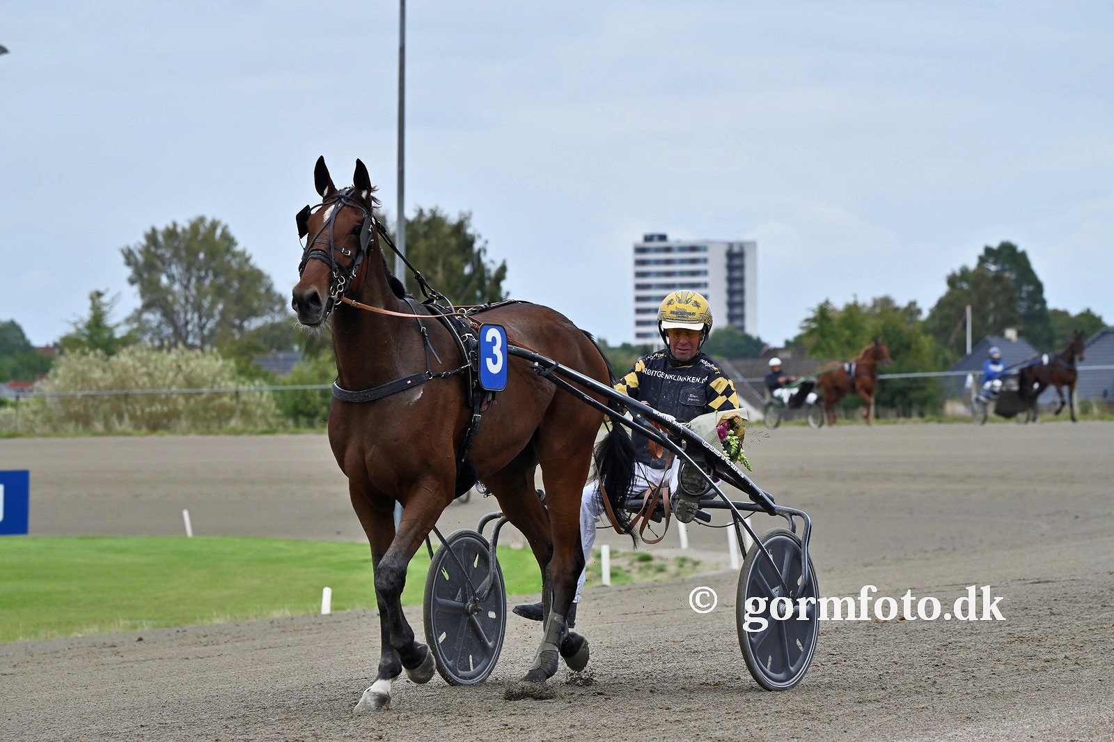 Kentucky Shadow formidlet til udlandet 461543478_496944569841548_4235061114725816998_n