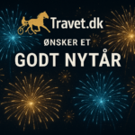 Godt nytår og tanker om året, der er gået