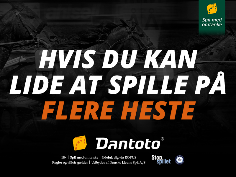 2025 dli Dantoto travet dk stort banner 800x600 2