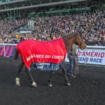 Internationalt: Prix d’Amérique-vinder er gået bort 20a2e2f1b2fc6