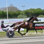 Dagens salgsmenu - Opdateret 481708951_610537501815587_2182325616188037489_n