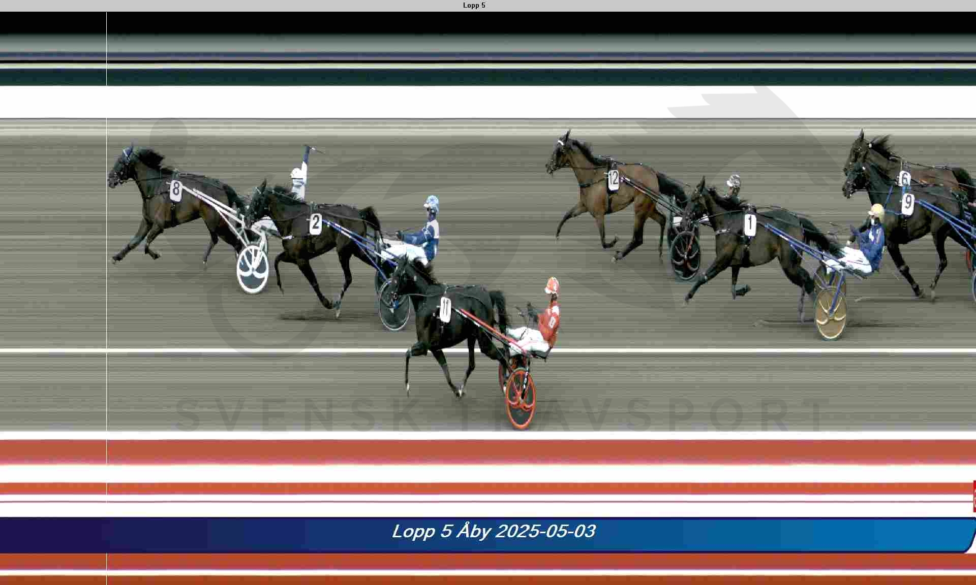 Drottning Silvias Pokal til Panthere d'Inverne 5