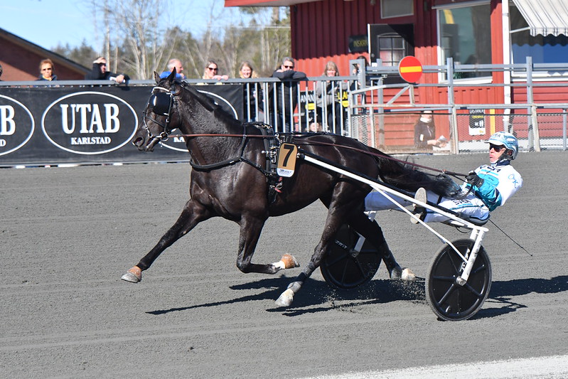 Udland - Kriterievinderen går til avl 52006403154_892705889b_c
