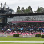Elitloppet - Den første billet deles snart ud 52106924283_e7c2f6ba69_c