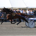 Get A Wish er klar til Oslo Grand Prix Get A WIsh