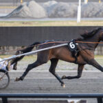 Ny succes for Masiol i aften? Duke Of walner -1920x1080