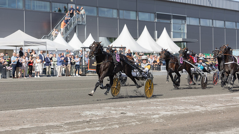 Ulf Thoresen Grand International til Önas Prince önas prince