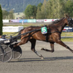 Jarlsberg Grand Prix – Hoppeafdelingen 54683007442_63bfcaff5d_c