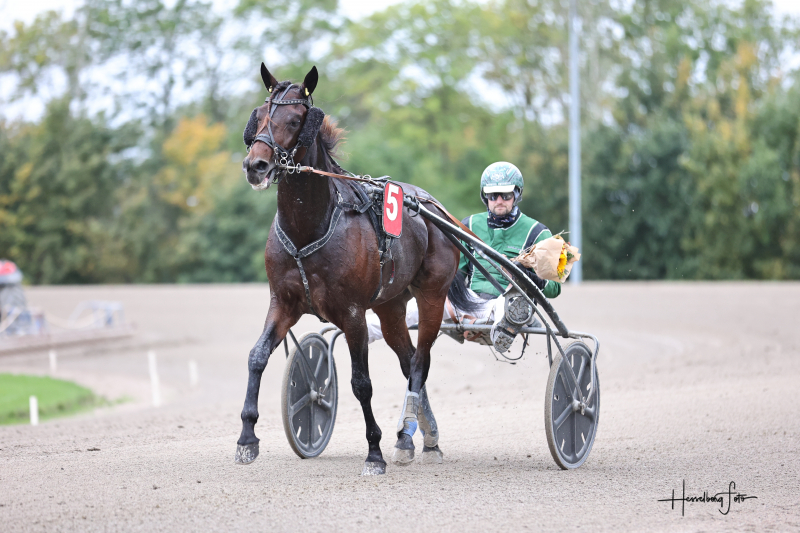 Velforberedt hest fra Kaj Jensen sejrede 895A1960
