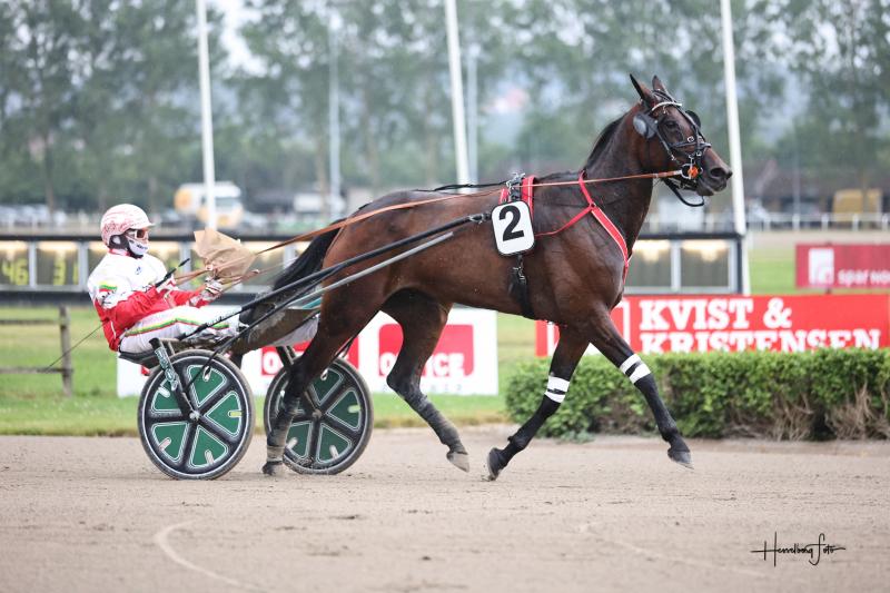 Kort nyt 895A3723