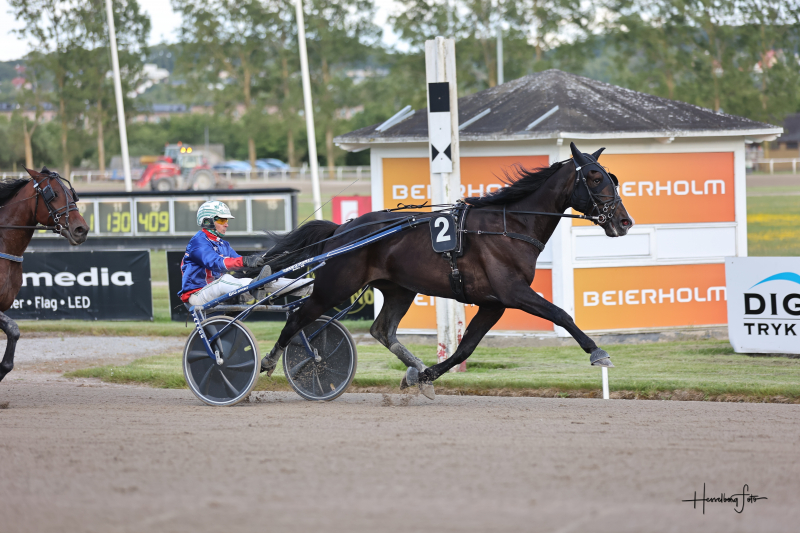 Martin Bjerregaard – Karlo Molar med en unik personlighed Karlo Molar