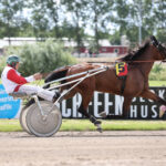 Salgsmenuen - Har man set dens papirer 895A6130