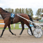 Whoops Hanover - Fin i sæsondebuten 895A8040