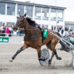 Danske Knud sejrede på Mantorp Danske Knud sejrede på Mantorp