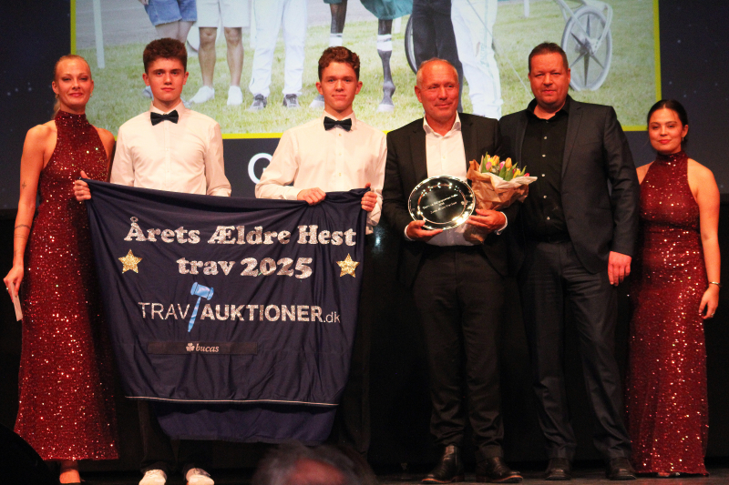 AaretsAeldreHest 8843