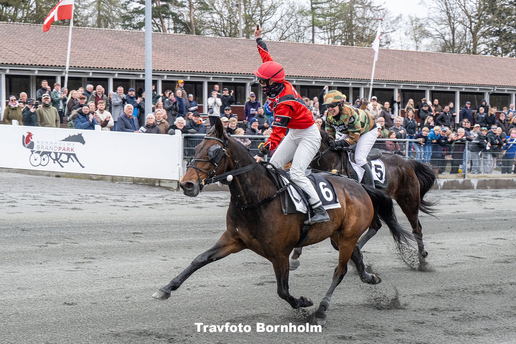 Asger Molar med Nicole Marsing 19 april 2025 Fotograf Torben Ager Travfoto Bornholm TKA 7627