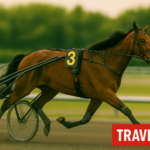 Kort nyt fra ind- og udland BCO.b0bac970-bb59-4cd6-b417-23c691376cce