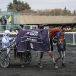 Verdens bedste vallak kommer til Solvalla. BV_20231203160558BV2_1822-800x600