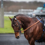 BV_20250126143749BV__8140-800x600
