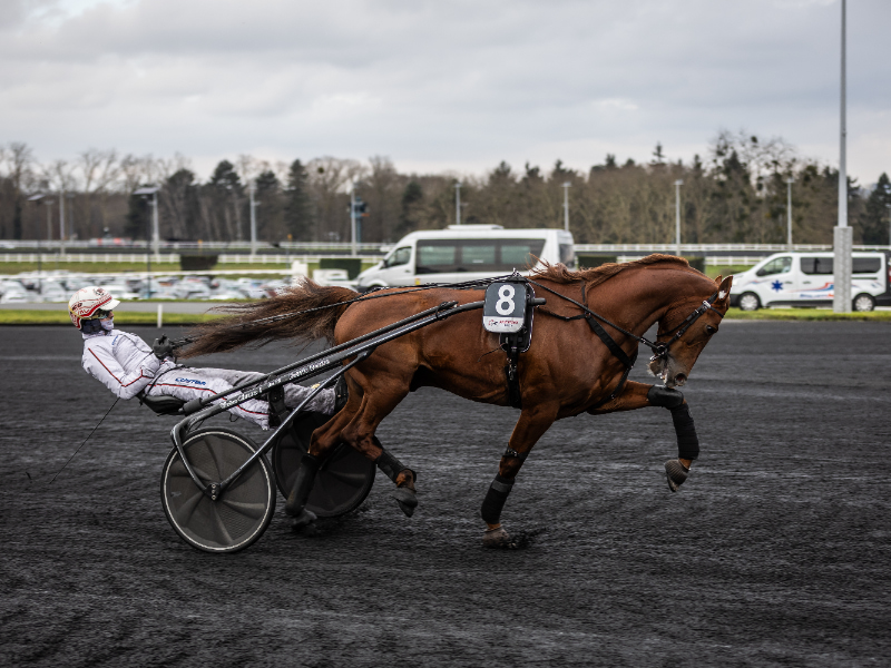 Optakt: Prix de Belgique BV_20250209142054BV__4525-800x600