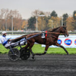 Elitloppet: Har forudsætningerne for at være en glimrende sprinter Keep Going