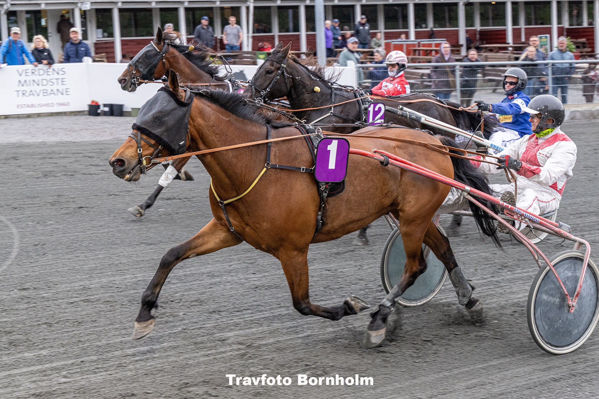 Baron Revenue med Niels Peter Steinlain 30 maj 2025 Fotograf Torben Ager Travfoto Bornholm TKA 0395