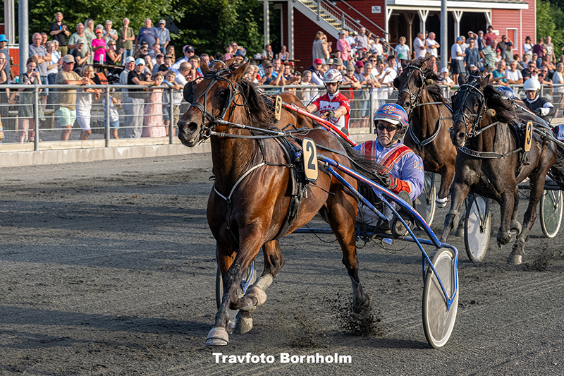 Beluga Onion med Kenn Christoffersen 14 august 2025 Fotograf Torben Ager Travfoto Bornholm TKA 9103