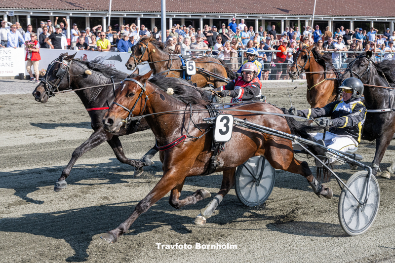 Billgate med S ren K Jensen Billgate med S ren K Jensen Bornholms Brand Park 14 juli 2023 Fotograf Torben Ager Travfoto Bornholm TKA 1473