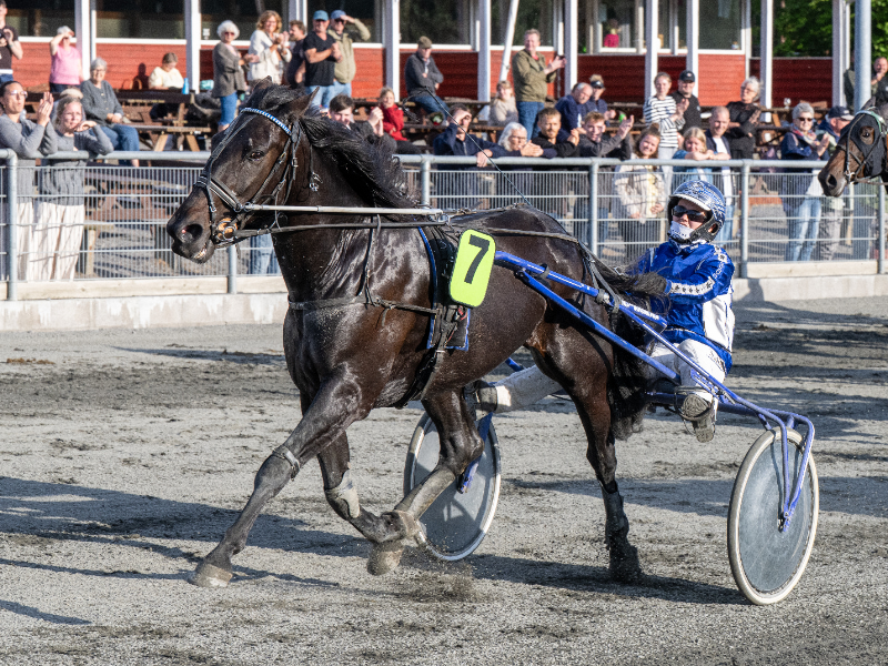 Blackbird S med Michala Haagensen 5 juni 2026 Fotograf Torben Ager Travfoto Bornholm TKA 5028 800x600 1