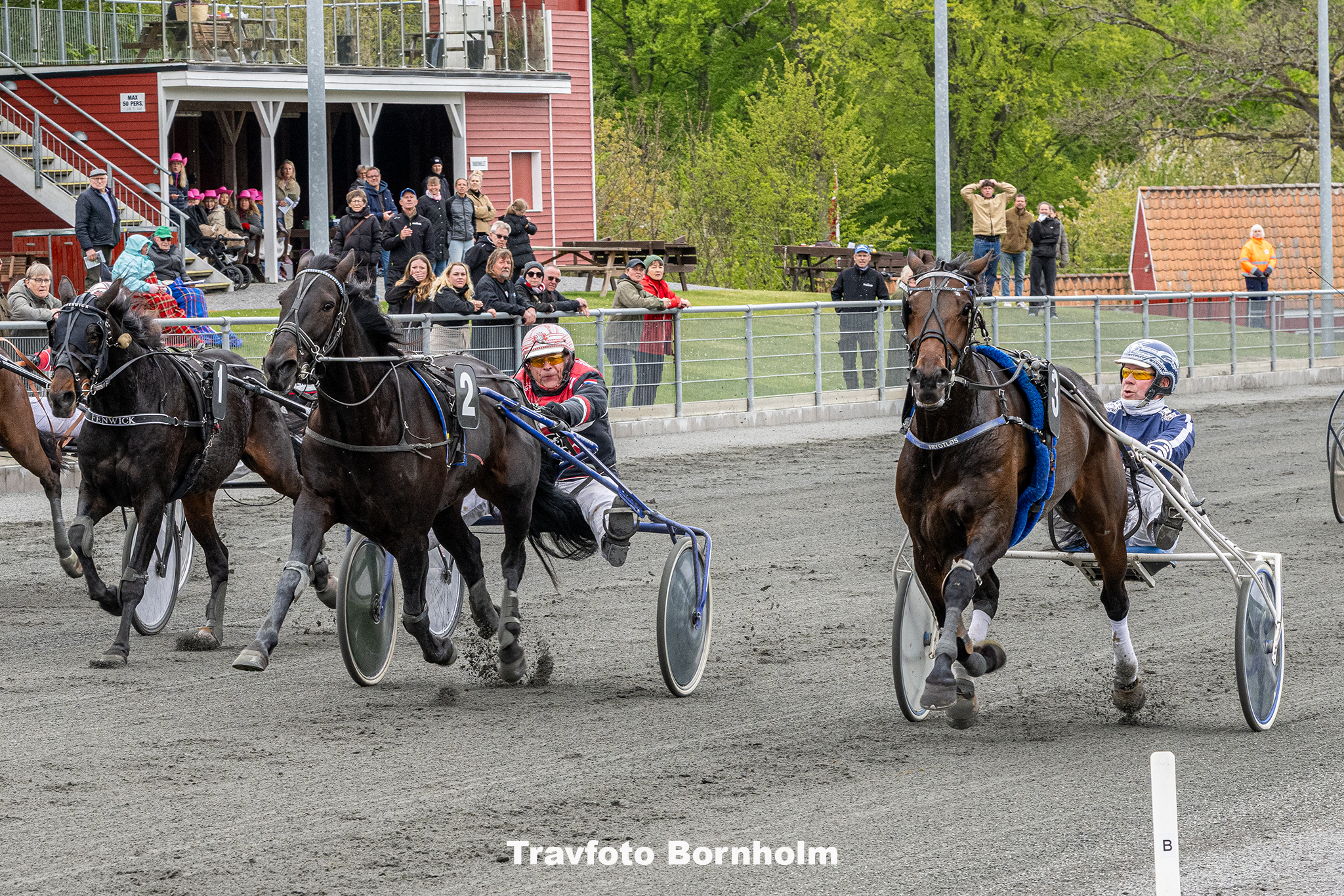 Blackbird med John Gommans og Frygtloes med Martin Sjoeholm Jensen 10 maj 2025 Fotograf Torben Ager Travfoto Bornholm TKA 9008