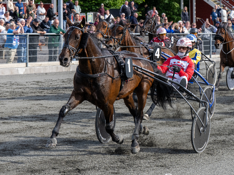 Bold Request med Mads Petersen 5 juni 2026 Fotograf Torben Ager Travfoto Bornholm TKA 4824 800x600 1