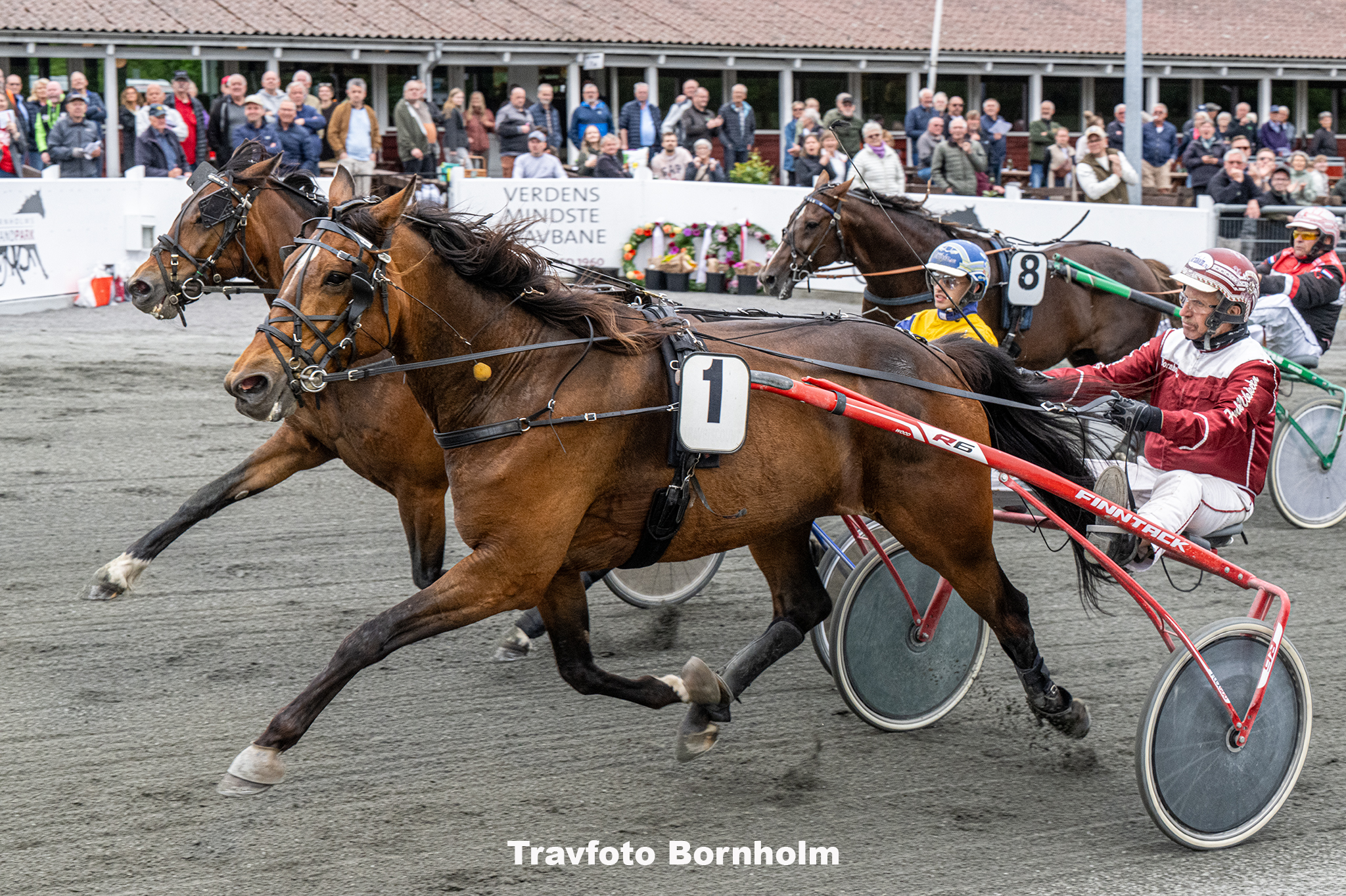 Bonny Boy med Fran Mikkelsen 5 juni 2025 Fotograf Torben Ager Travfoto Bornholm TKA 0790