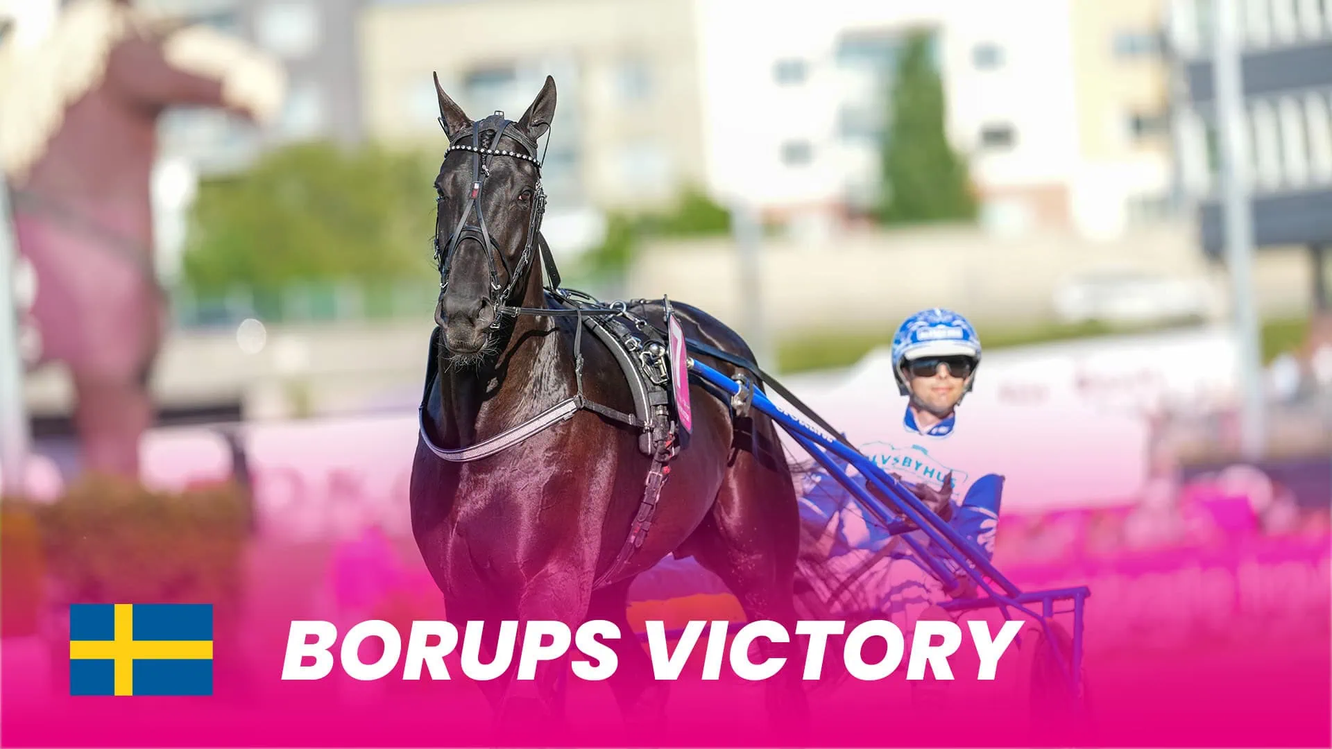 Blev årets hest og fik rosa billet Borups-Victory_1920x1080