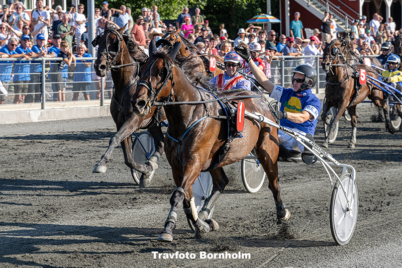 Cash Sali med Mads K Mogensen 14 august 2025 Fotograf Torben Ager Travfoto Bornholm TKA 8949