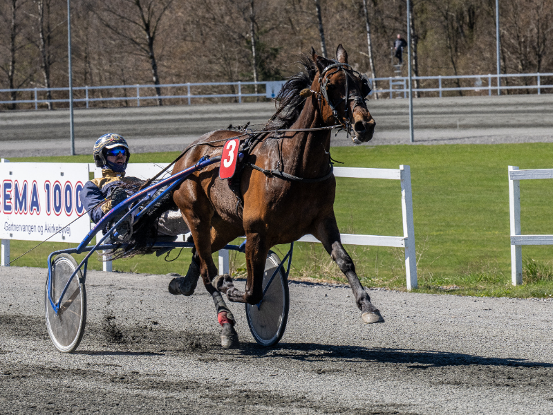 Cash for Dash med Ulrik Christoffersen 26 april 2026 Fotograf Torben Ager Travfoto Bornholm TKA 0395 800x600 1