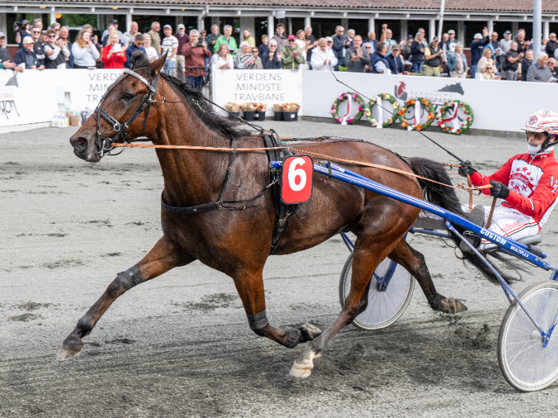 Cerosso med Mads Petersen 5 juni 2026 Fotograf Torben Ager Travfoto Bornholm TKA 4648 800x600 1