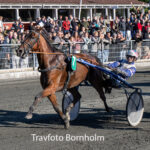 Optakt til Rose & Calles Cup 2026 på Bornholms Brand Park Cerosso_med_Niclas_Steinlain_7_juli_2026_Fotograf_Torben_Ager_Travfoto_Bornholm_TKA_8106