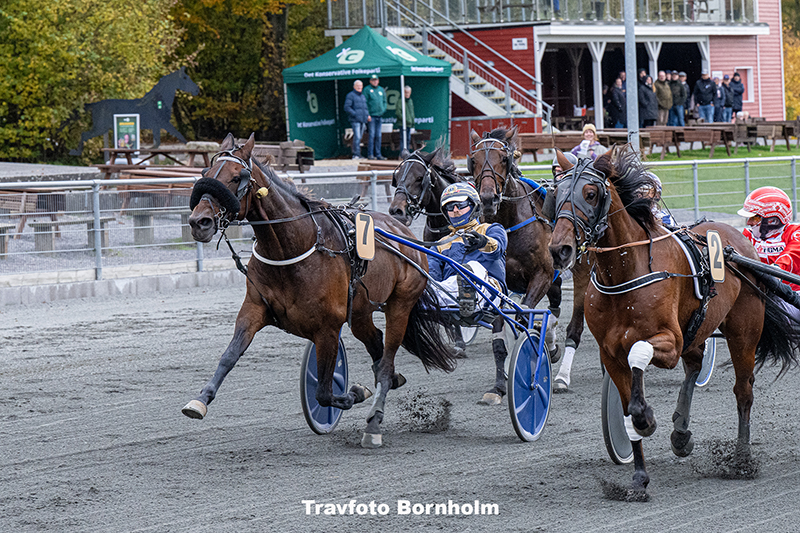 Chardonnay med Ulrik Christoffersen 25 oktober 2025 Fotograf Torben Ager Travfoto Bornholm TKA 4297