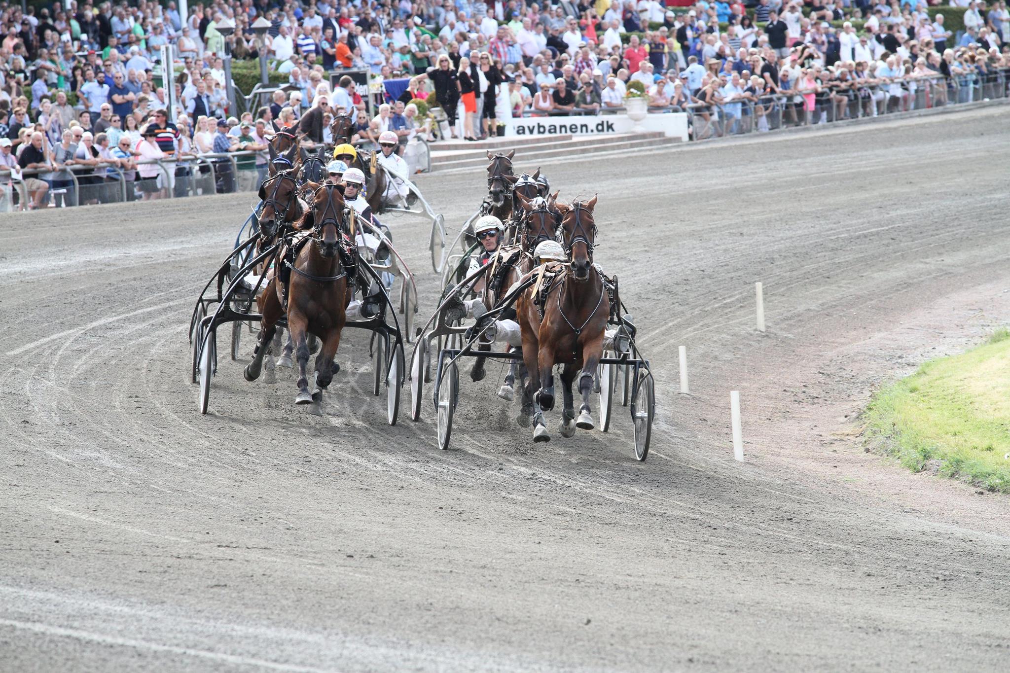 Charlottenlund Travbane 10 1