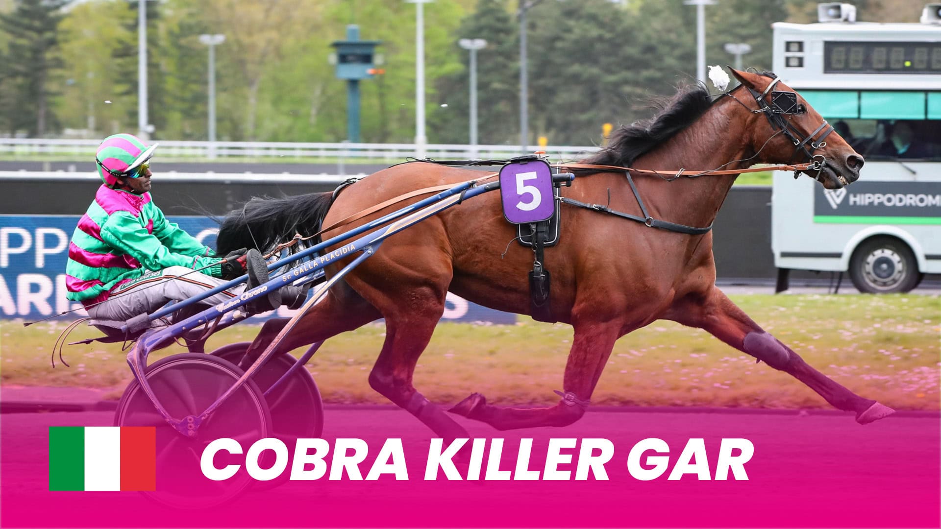 Erik Bondo til Elitloppet - Cobra Killer Car Cobra-Killer-Gar_1920x1080