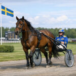 Svenskerne kræver dokumentation sverige
