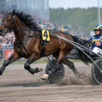 Amatørkusk måtte opereres Sverige