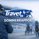 Dommerrapport