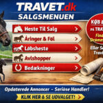 Ny hest og en kort opdatering Copilot_20260613_224519-800x600