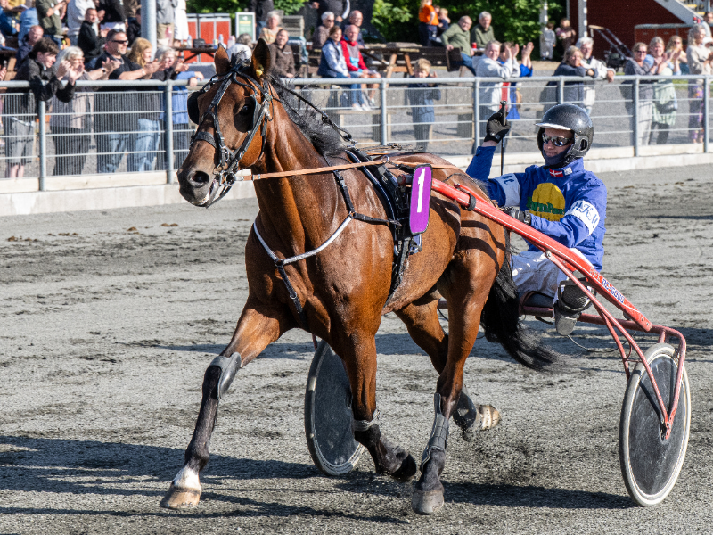 Corner Tiki med Mads K Mogensen 5 juni 2026 Fotograf Torben Ager Travfoto Bornholm TKA 4923 800x600 1