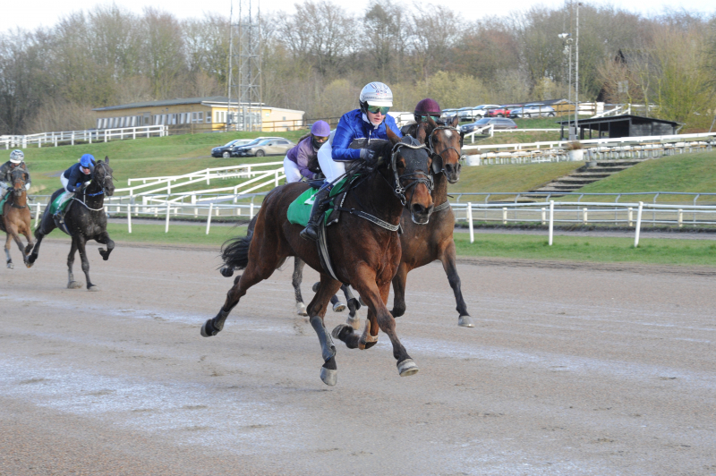 CrazyHorse 7215