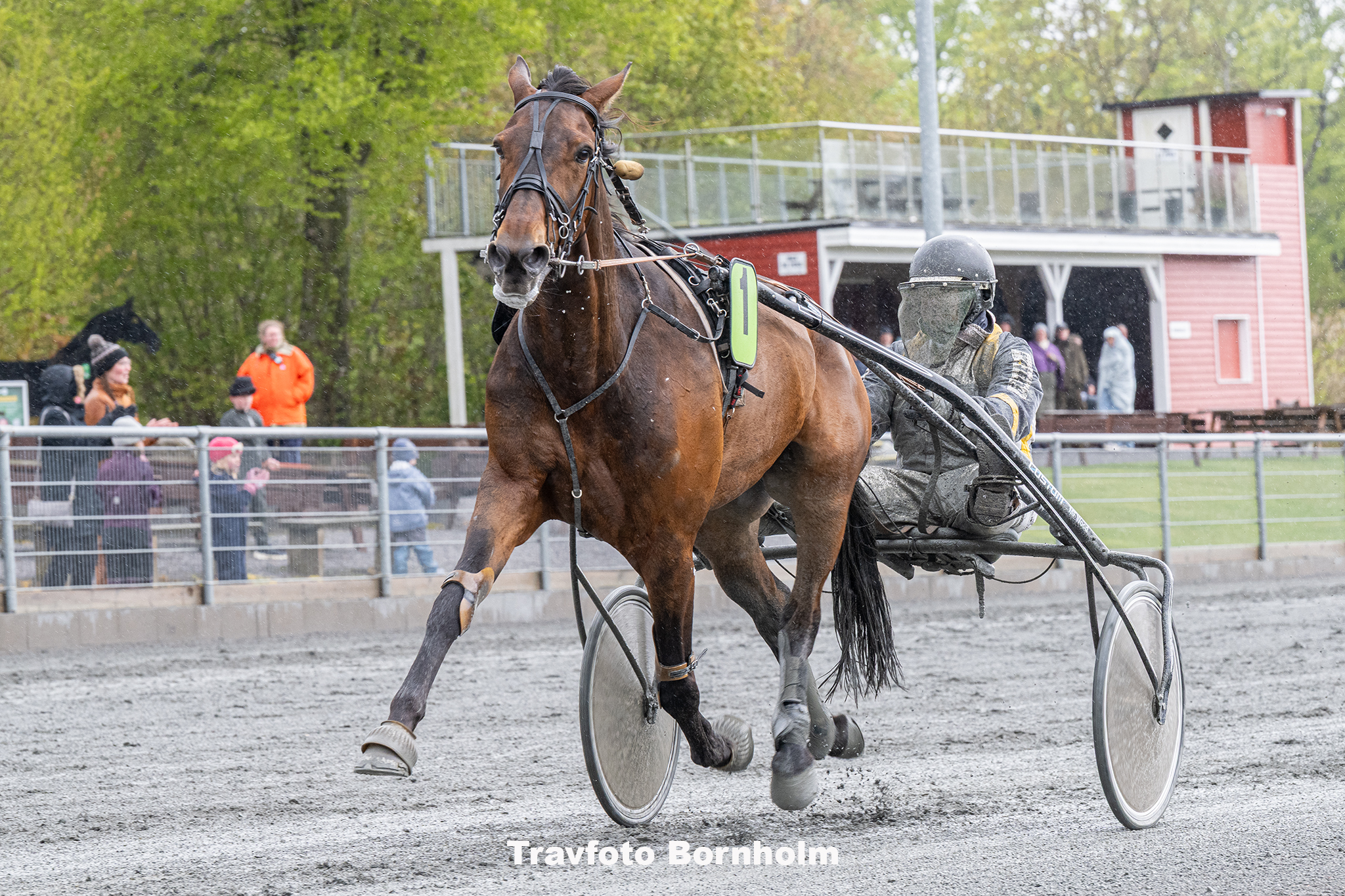 Cult med Soeren K Jensen 3 maj 2025 Fotograf Torben Ager Travfoto Bornholm TKA 8676